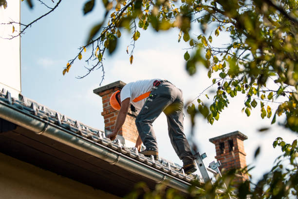 Best Roof Gutter Cleaning  in Eunice, LA
