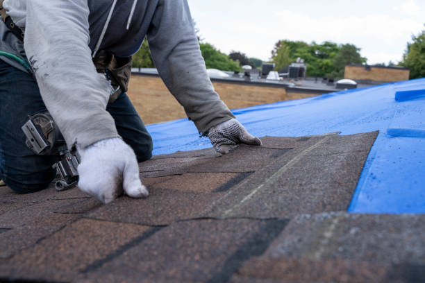 Gutter Installation and Roofing in Eunice, LA